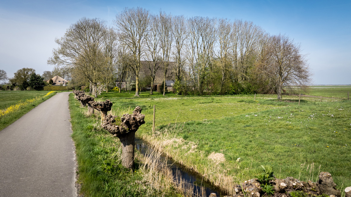 Woning te koop: Buurtsteeg, Blankenham