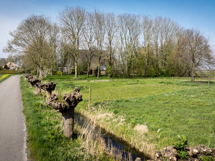 Buurtsteeg 
