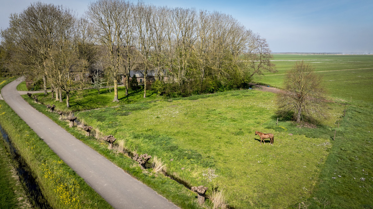 Woning te koop: Buurtsteeg, Blankenham