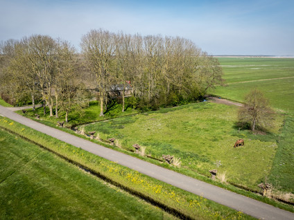 Buurtsteeg 