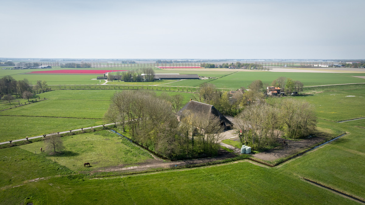 Woning te koop: Buurtsteeg, Blankenham