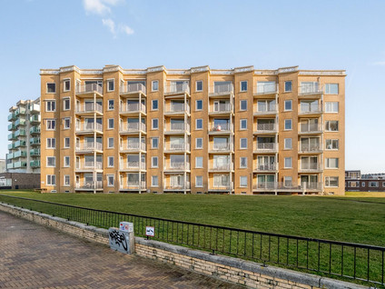 Zeekant 100C