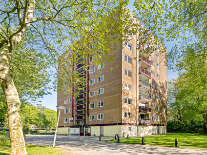 Thijssestraat 177