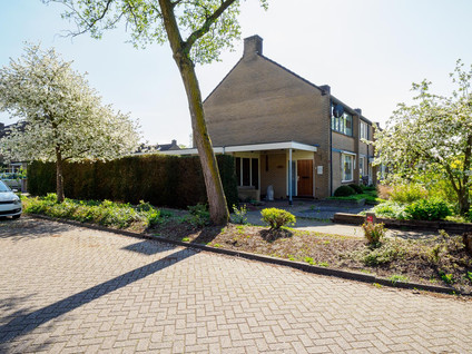 Potgieterstraat 40