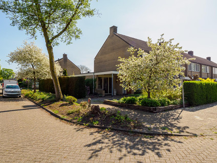 Potgieterstraat 40