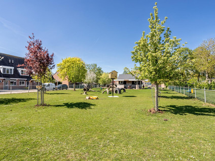 De Bogerd 20