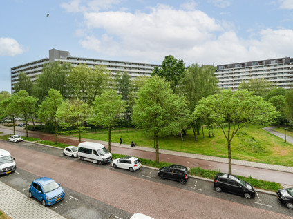 Chopinplein 116