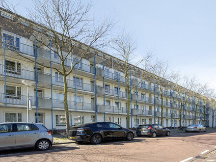 Goeman Borgesiusstraat 2A