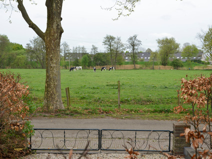 Paulinelaan 7