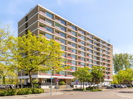 Bachstraat 156
