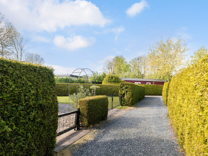 Vogels' Tún 31