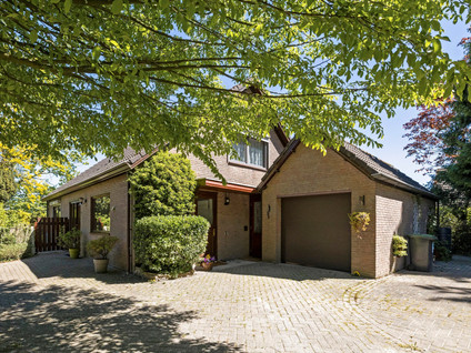 Blozekriekske 6