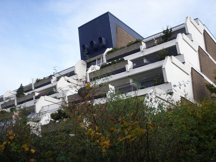 Wildforster 455