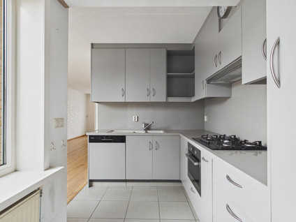 Korenbloem 9
