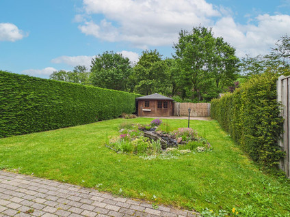 Korenbloem 9