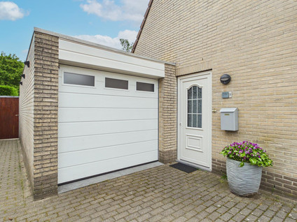 Korenbloem 9