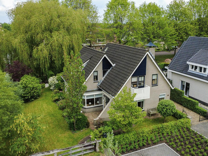 Roerdomp 36