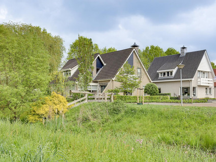 Roerdomp 36