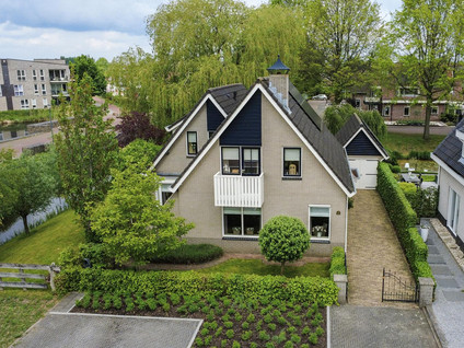 Roerdomp 36