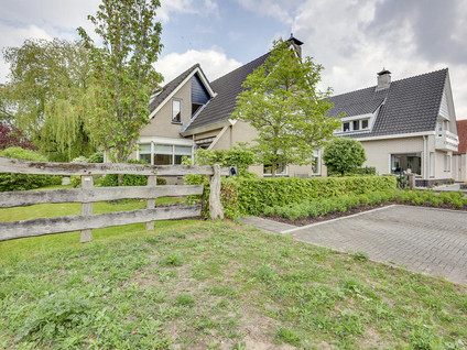 Roerdomp 36