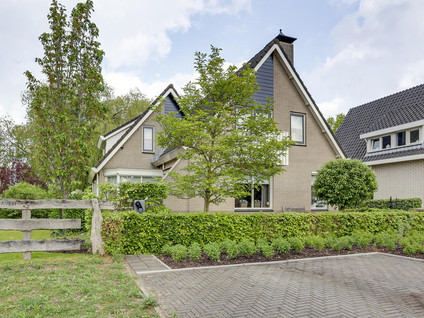 Roerdomp 36