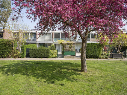 Dokter van Kleefstraat 24B
