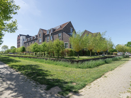 Hoefslag 20