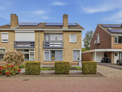 Ganzenhof 3