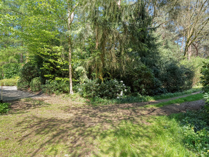Hogeveldsweg 26 250