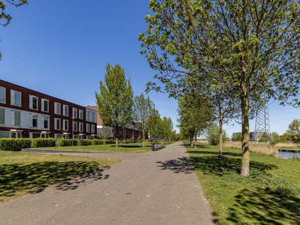 Korfoepad 113
