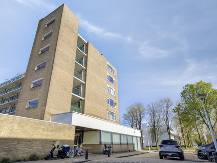 Spaansgroenstraat 42