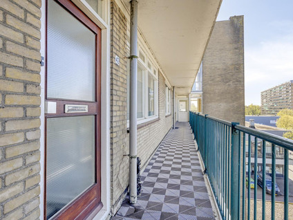 Spaansgroenstraat 42