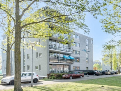 private-rentals for rent on Schaapsveldje 144
