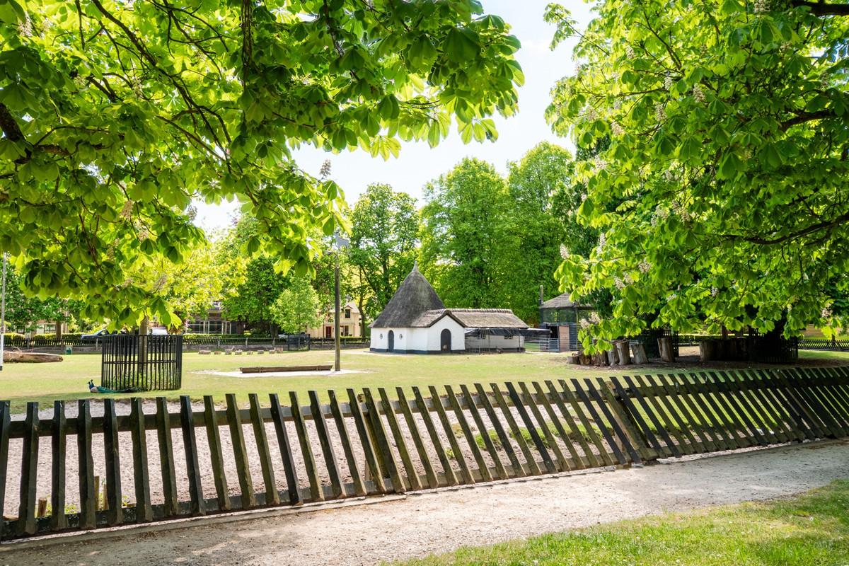 Vrijstaande woning te koop: Van Reenenpark 14, Bergen (Nh)
