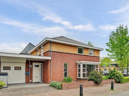 Roodborstje 1