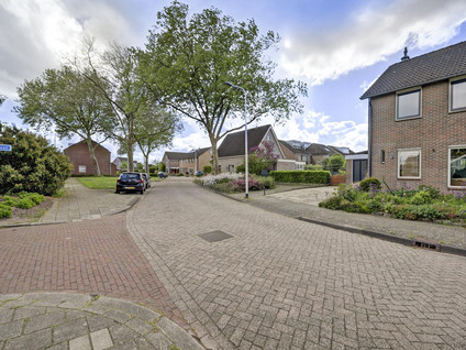 Jan van Dieststraat 6