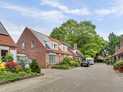 Mosveld 8
