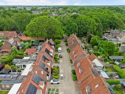 Mosveld 8