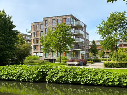 Lindepark 41