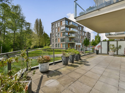 Lindepark 41