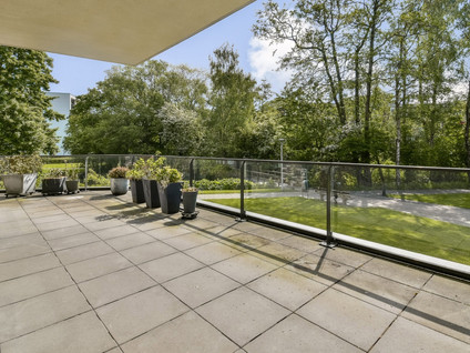 Lindepark 41