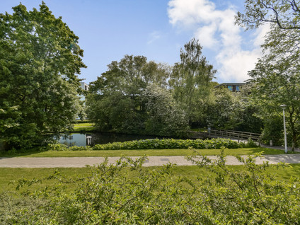 Lindepark 41
