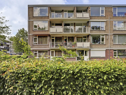 Vredeman de Vriesstraat 84