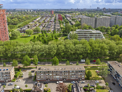 Vredeman de Vriesstraat 84