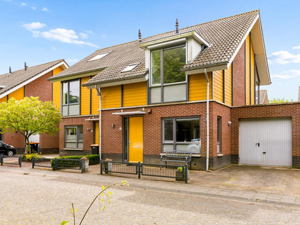 Schouw 54 58