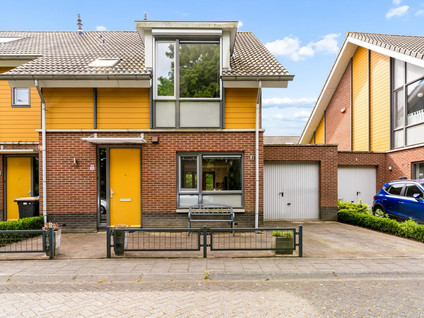 Schouw 54 58