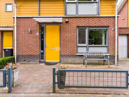 Schouw 54 58