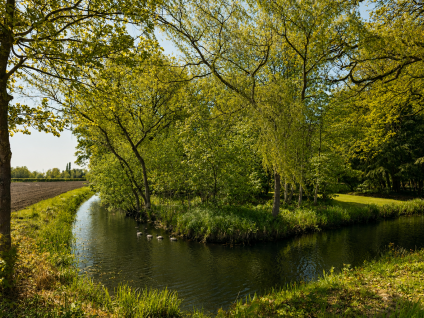 Oirschotseweg 12