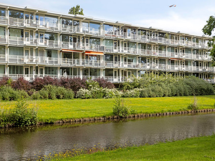 Biesbosch 11