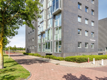 De Boulevard 203